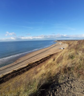 00068a1a-30c6-457b-8d53-e36e471a8338